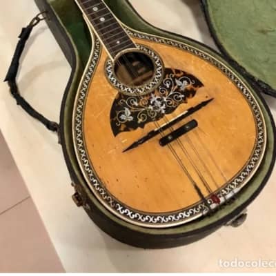 Bruno Klemm. Mandolina. Year 1890 Mandolin. image 11