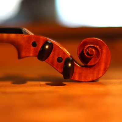Haddon Brown Violin 4/4 - Sleeping Beauty Stradivari Model image 13