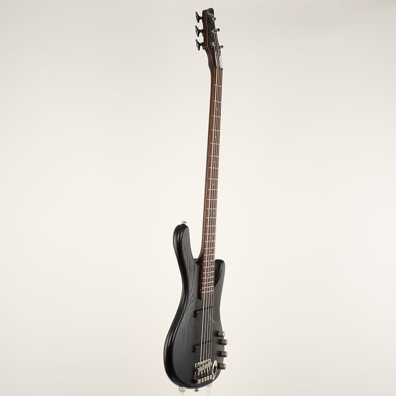 Ibanez アイバニーズ　EDB555 Ergodyne 5弦ベース EDB555 | Ibanez Wiki | Fandom