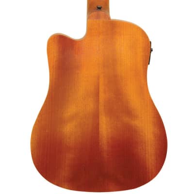 Gold Tone M-Bass 23-Inch Scale Acoustic Electric MicroBass incl Gig Bag image 2
