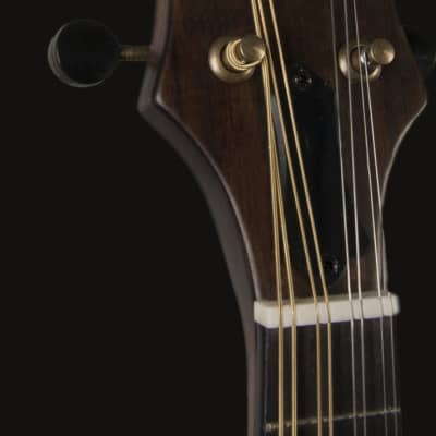 Washburn M108SWK Americana Series All Solid F-Style Maple Neck Wood Mandolin w/Hardshell Case image 12