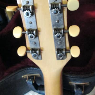 SHERWOOD Vintage 1954 Archtop Acoustic Guitar image 7