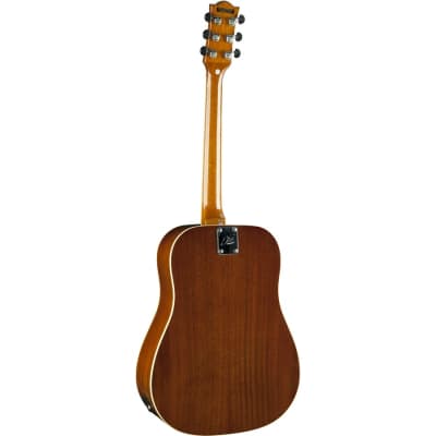 シ*ン様 エレアコ　EKO Ranger VI VR　Honey Burst E RANGER VI VR Honey burst