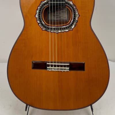 Superior Mariachi Guitar 2023 - Nitro Gloss for sale