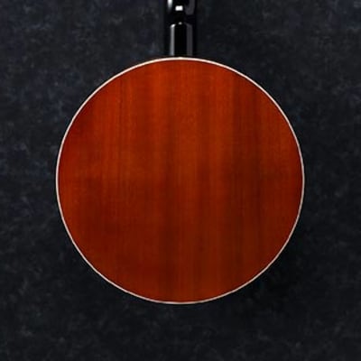Ibanez B50 5-String Resonator Banjo image 2