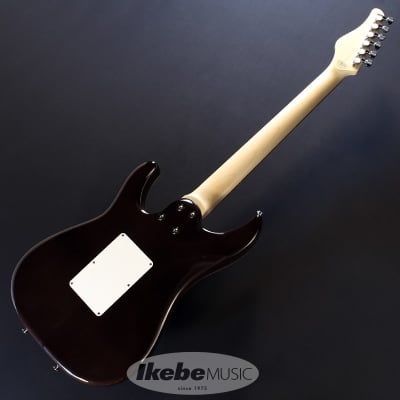 SCHECTER SD-2-24-AL (See-Thru Red/Rosewood) ｜イケベ楽器店