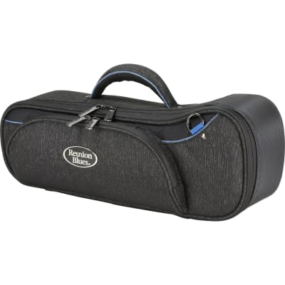 Reunion Blues Single Continental Gig Bag | Reverb