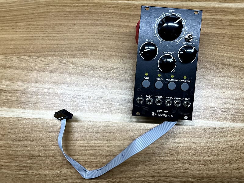 Erica Synths Digital Delay DIY 2020 Black Reverb UK