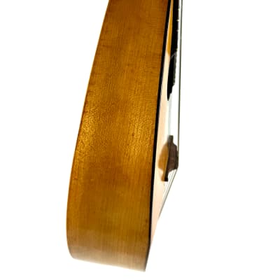 Concert Mandola Flat-Back Emanuele Egildo N°240 from 1920 image 6