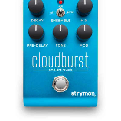 【魅力の】strymon CloudBurst コンパクトエフェクター ギター