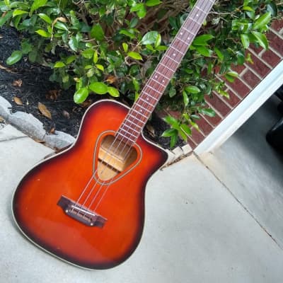 1991 Hohner TWP600B Acoustic Electric Bass - Plays and Sounds Great! image 1