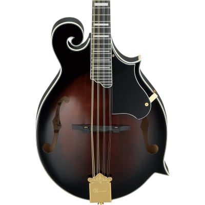 Aria AM-400BS マンドリン Aria Am-400Bs Mandolin | eBay
