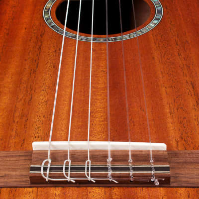 Cordoba C4-CE, Nylon String Acoustic-Electric Guitar – Edgeburst, Guitar Stand, Snark SN5X, ErnieBall P04037 Strap Bundle image 4