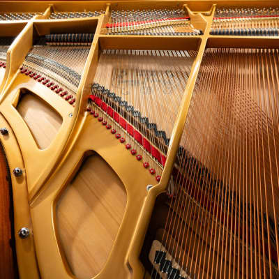 Story & Clark Grand Piano | Polished Ebony | SN: DG25511 | Used image 5