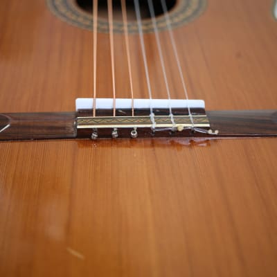 Rare Vintage Classical Ariel (Aria) Acoustic Guitar Model 53 Laminate Wood MIJ image 13