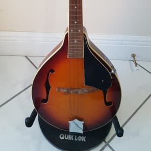 Samick SM-20/TS Artist Series Edition Mandolin | Reverb
