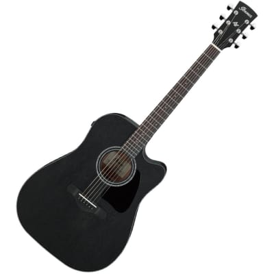 IBANEZ AW10 acoustic guitars