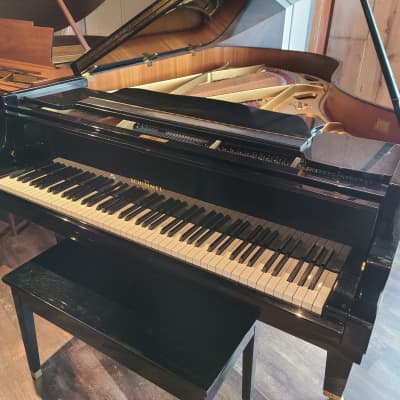 Schimmel Grand Piano 1977 With a Satin Black finish image 1