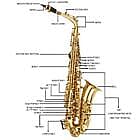 New Student Paint Gold Alto Eb Sax Saxophone w/ Case Accessories image 1