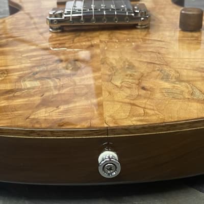 Peters Double cut Les Paul style guitar with original case! image 12