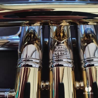 Bach Stradivarius 239 CL Mt Vernon N.Y. LARGE Bore Trumpet | Gamonbrass image 13