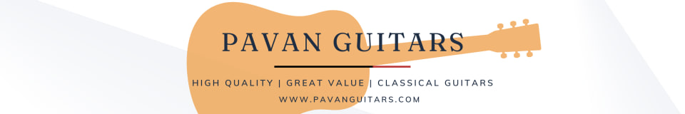 Pavan Guitars 