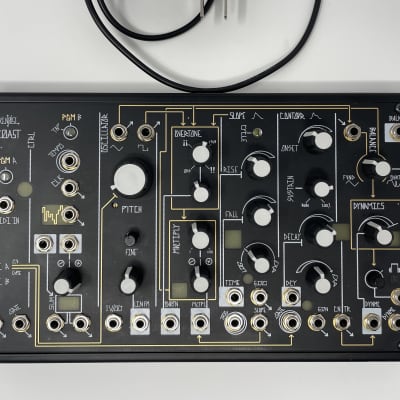 Make Noise 0-Coast Patchable Synthesizer | Reverb