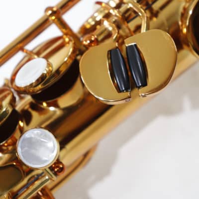 Antigua Winds Model SS6200VLQ 'ProOne' Soprano Saxophone BRAND NEW image 8