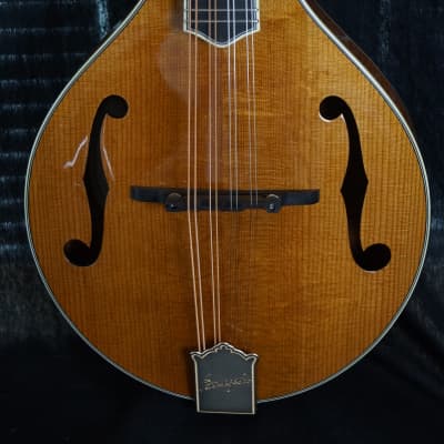 Brand New Bourgeois A Style Mandolin Model M5A Adi Top / Flamed Bosnian Maple ALL TORRIFIED image 3
