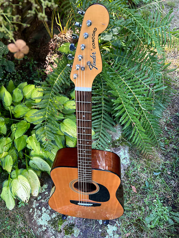 Sweet 1985 Fender Concord II Acoustic Six-string with OHSC