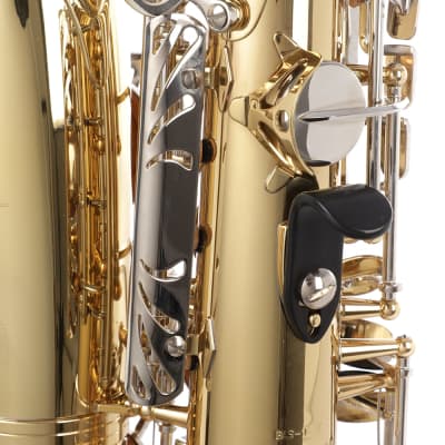 Blessing BAS-1287 Alto Saxophone Outfit - Gold Lacquer image 3