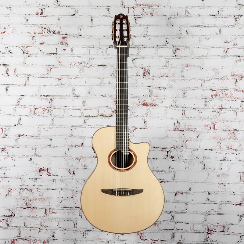 NX Series NTX5 Nylon-String Acoustic-Electric Guitar