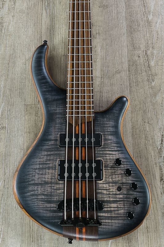 Mayones Patriot Tank Custom, 5-String Bass, Trans Graphite Finish,  Nordstrand