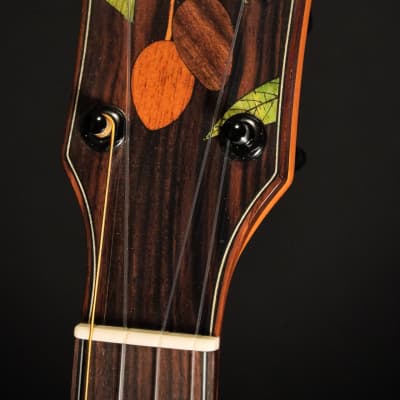 Oli L2-TMG Tenor Mango 2025 - Natural Highgloss image 3