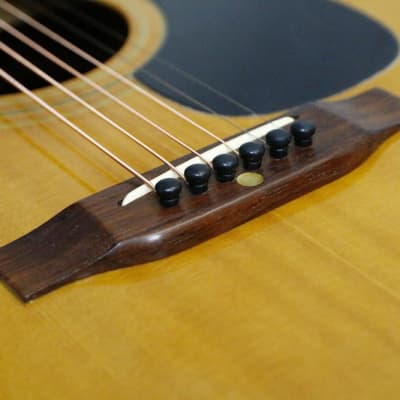 ギター Tokai Humming Bird 96F Tokai Hummingbird Folk 96F acoustic guitar | #287094186