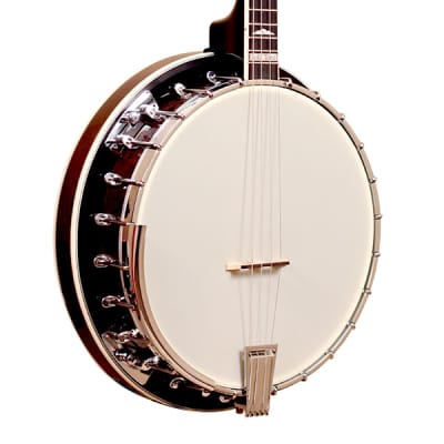 Gold Tone IT-250R/L Professional 4-String Irish Tenor Banjo w/Hardshell Case & Resonator For Lefty image 2