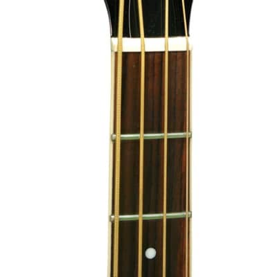 Gold Tone Paul Beard Signature Series PBB Roundneck Resonator Bass Guitar w/Case image 5
