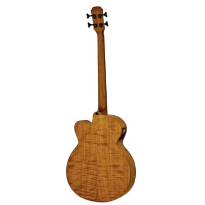 Aria Hollow body fretless bass 2023 - Transparent Brown Stain image 2