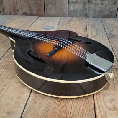 Gibson A1 Mandolin 1937 - Sunburst image 14