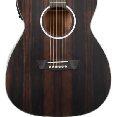 Washburn DFEFE-U Deep Forest Folk Acoustic/Electric Guitar Striped Ebony image 6