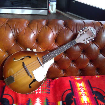 Vintage Kay K95 Mandolin AS IS for sale