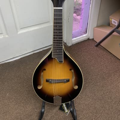 GOLD TONE GM-6 6-string Mandolin style GUITAR new GM6 Solid Top w/ Gig Bag image 2