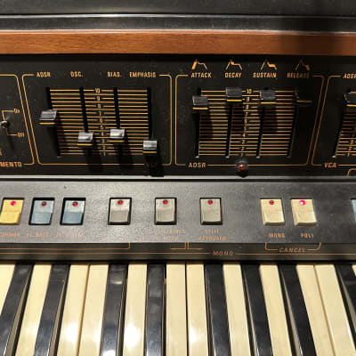 Farfisa Soundmaker 61-Key String Synthesizer 1979 - 1981 - Natural / Black, recently serviced, fully functional, U.S. 120V! image 3