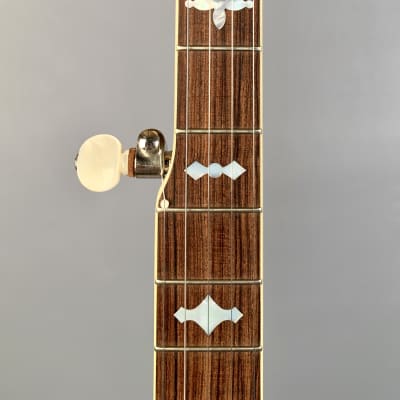 Gold Star GF-100JD Mastertone-style Banjo image 8
