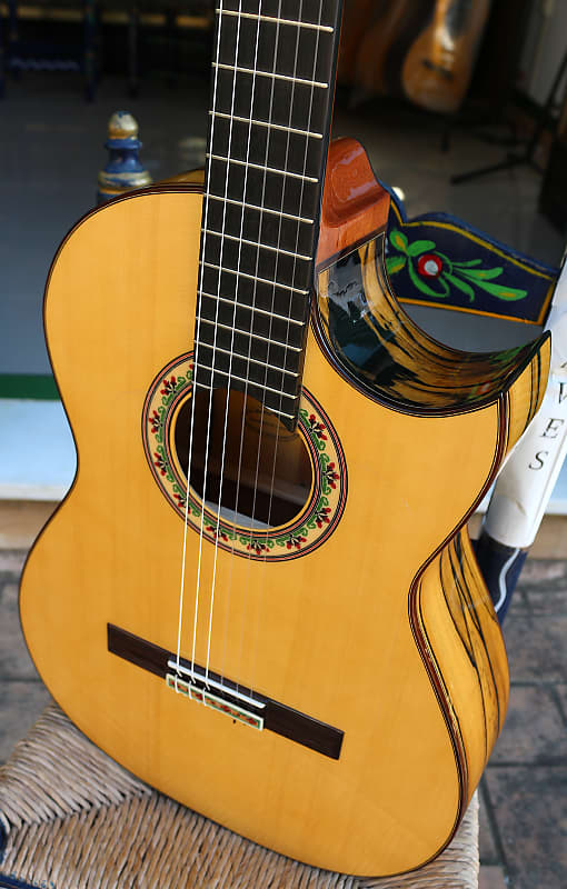 Cutaway flamenco deals guitar