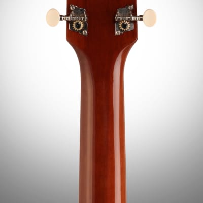 Ibanez PN1 Parlor Acoustic Guitar, Natural image 7