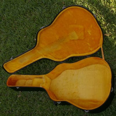 Trump Dreadnought with Vintage Case image 23