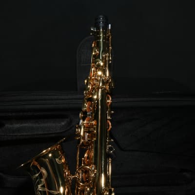 Eastman EAS650 Professional Alto Saxophone - Brass image 7
