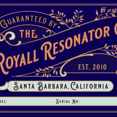Royall Parlorizer Antique Relic Nickel Finish Brass Body Singlecone Resonator image 16