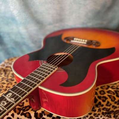 MORRIS TF Series W-50 Sunburst [SN 909568] (08/22) | Reverb